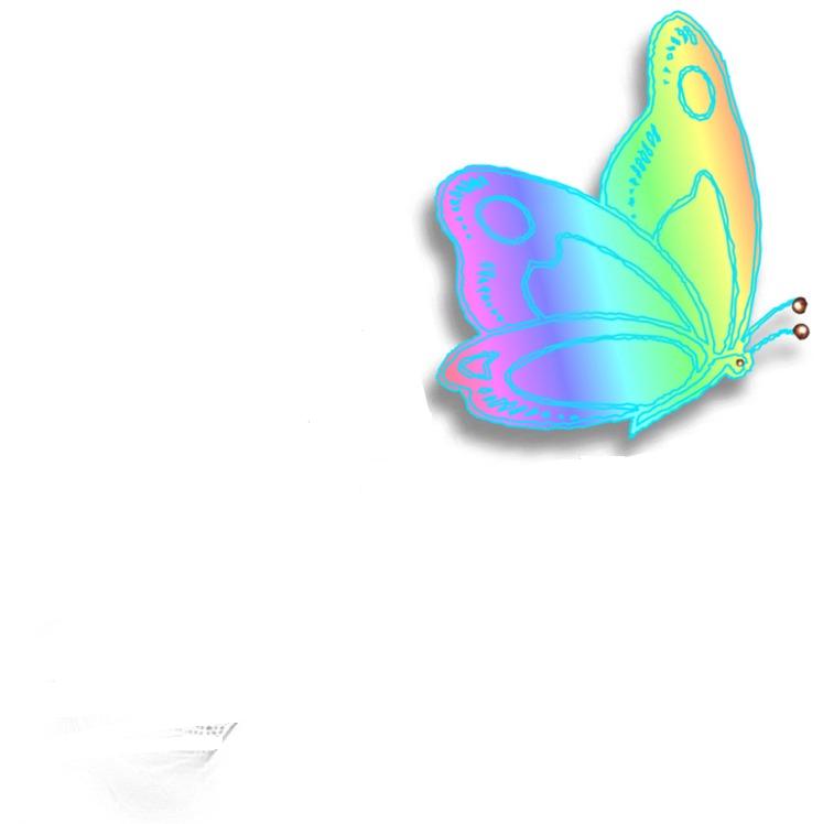butterfly.jpg